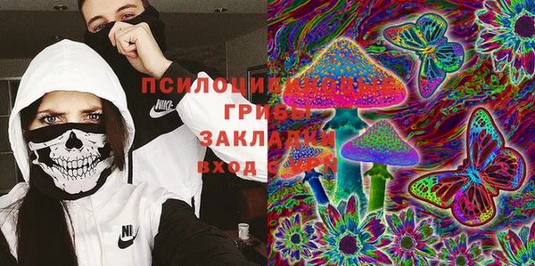 ГАЛЛЮЦИНОГЕННЫЕ ГРИБЫ Волосово