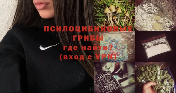 тгк Володарск