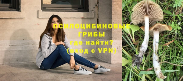 ГАЛЛЮЦИНОГЕННЫЕ ГРИБЫ Волосово