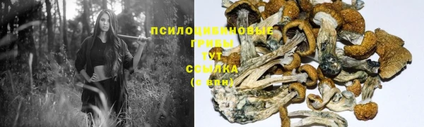 а пвп мука Верхний Тагил