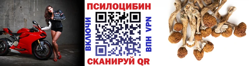 Купить закладки  Гороховец  Псилоцибиновые грибы ЛСД 
